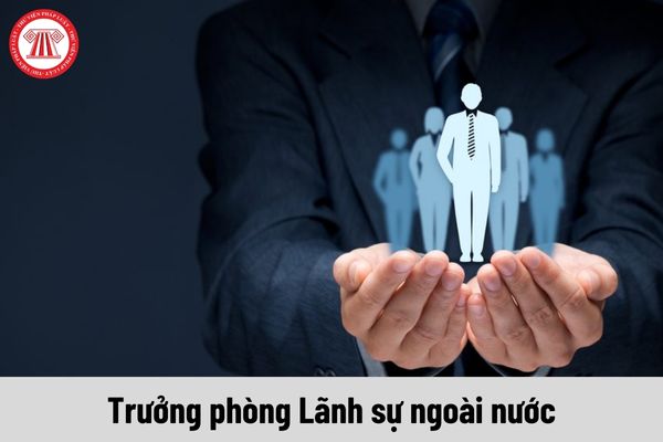 Trưởng phòng Lãnh sự ngoài nước được nhận mức phụ cấp chức vụ lãnh đạo là bao nhiêu?