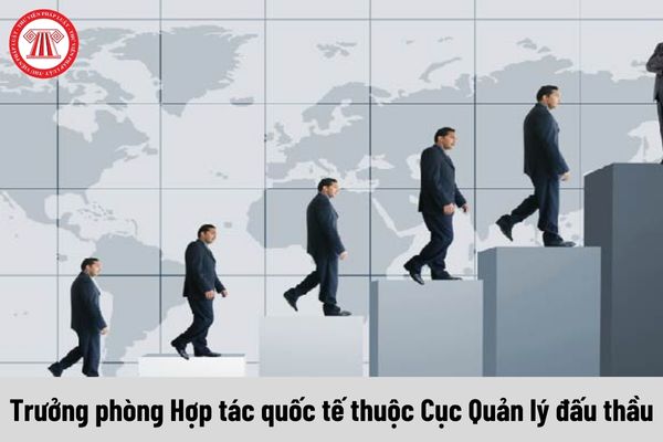 Trưởng phòng Hợp tác quốc tế thuộc Cục Quản lý đấu thầu được nhận mức phụ cấp chức vụ lãnh đạo là bao nhiêu?