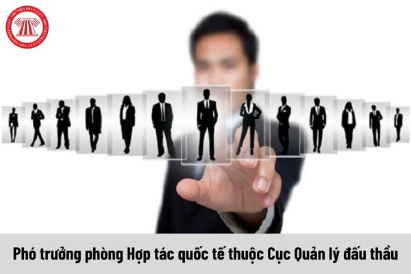 Mức phụ cấp chức vụ lãnh đạo của Phó trưởng phòng Hợp tác quốc tế thuộc Cục Quản lý đấu thầu được nhận là bao nhiêu?