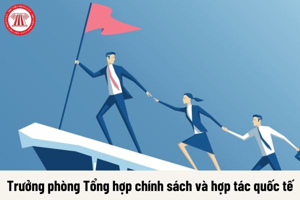 Trưởng phòng Tổng hợp chính sách và hợp tác quốc tế được nhận mức phụ cấp chức vụ lãnh đạo là bao nhiêu?