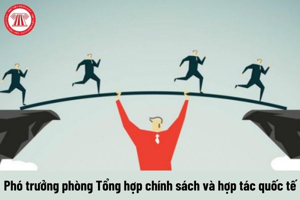 Mức phụ cấp chức vụ lãnh đạo của Phó trưởng phòng Tổng hợp chính sách và hợp tác quốc tế được nhận là bao nhiêu?