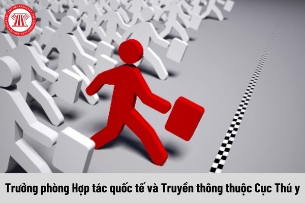 Trưởng phòng Hợp tác quốc tế và Truyền thông thuộc Cục Thú y được nhận mức phụ cấp chức vụ lãnh đạo là bao nhiêu?