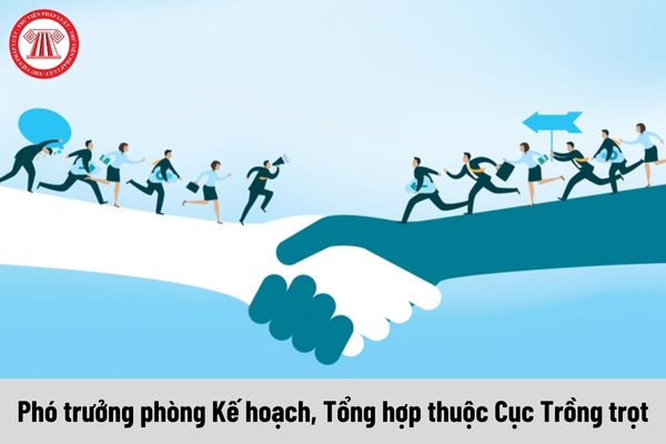 Phó trưởng phòng Kế hoạch, Tổng hợp thuộc Cục Trồng trọt được nhận mức phụ cấp chức vụ lãnh đạo là bao nhiêu?