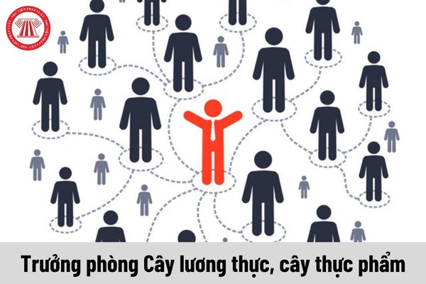 Mức phụ cấp chức vụ lãnh đạo của Trưởng phòng Cây lương thực, cây thực phẩm là bao nhiêu?