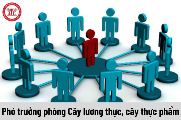 Phó trưởng phòng Cây lương thực, cây thực phẩm được nhận mức phụ cấp chức vụ lãnh đạo là bao nhiêu?