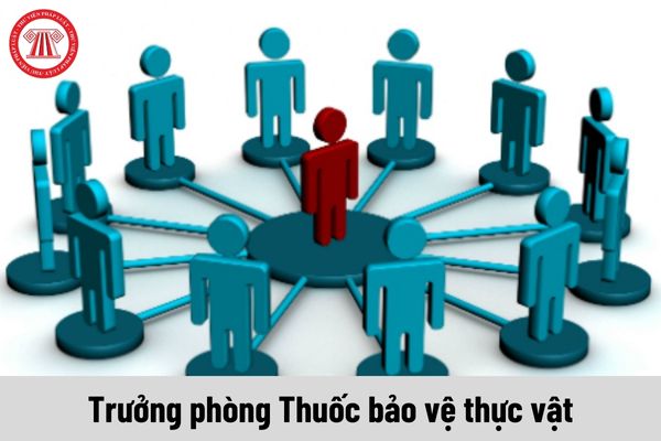 Mức phụ cấp chức vụ lãnh đạo của Trưởng phòng Thuốc bảo vệ thực vật là bao nhiêu?