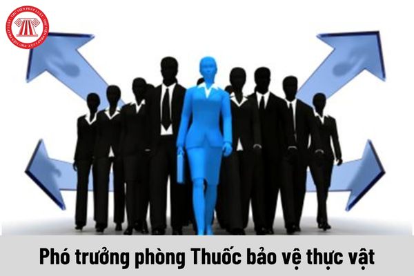 Phó trưởng phòng Thuốc bảo vệ thực vật được nhận mức phụ cấp chức vụ lãnh đạo là bao nhiêu?