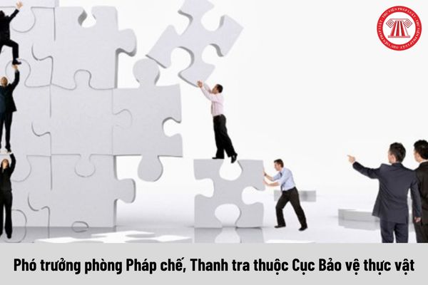 Phó trưởng phòng Pháp chế, Thanh tra thuộc Cục Bảo vệ thực vật được nhận mức phụ cấp chức vụ lãnh đạo là bao nhiêu?