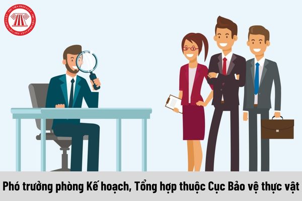 Mức phụ cấp chức vụ lãnh đạo của Phó trưởng phòng Kế hoạch, Tổng hợp thuộc Cục Bảo vệ thực vật được nhận là bao nhiêu?