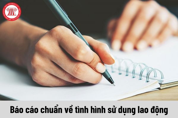 Mẫu báo cáo chuẩn về tình hình sử dụng lao động năm 2024 dành cho Sở Hà Giang tải tại đâu?