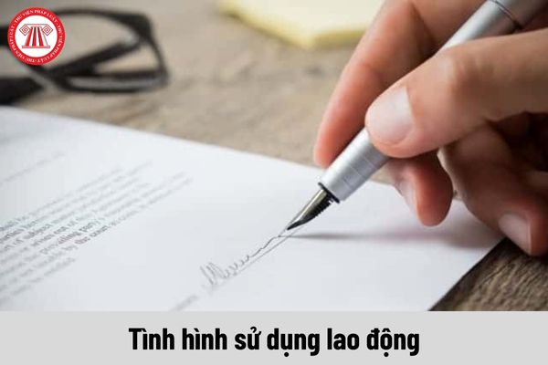 Những lưu ý khi điền mẫu báo cáo chuẩn về tình hình sử dụng lao động năm 2024 của Sở Cao Bằng?