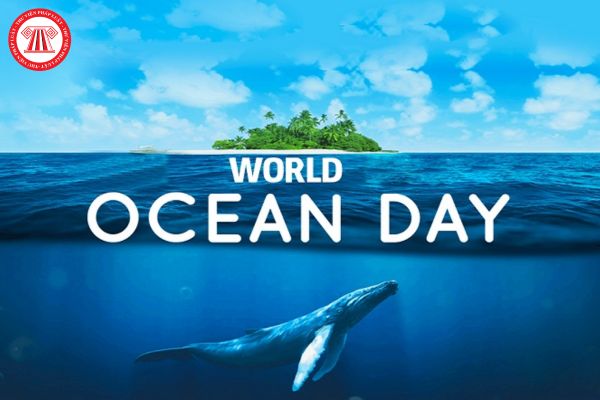 Ngày Đại dương thế giới là ngày gì? Người lao động có được nghỉ làm hưởng nguyên lương vào ngày này không?