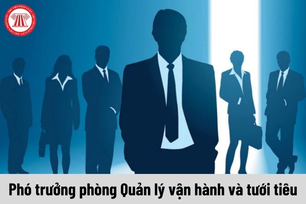 Phó trưởng phòng Quản lý vận hành và tưới tiêu được nhận mức phụ cấp chức vụ lãnh đạo là bao nhiêu?