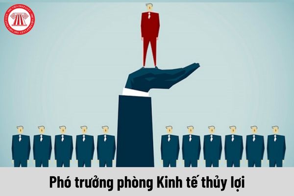 Phó trưởng phòng Kinh tế thủy lợi được nhận mức phụ cấp chức vụ lãnh đạo là bao nhiêu?