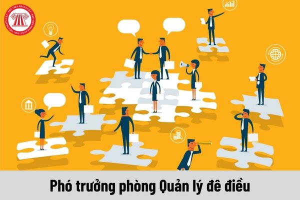 Phó trưởng phòng Quản lý đê điều được nhận mức phụ cấp chức vụ lãnh đạo là bao nhiêu?