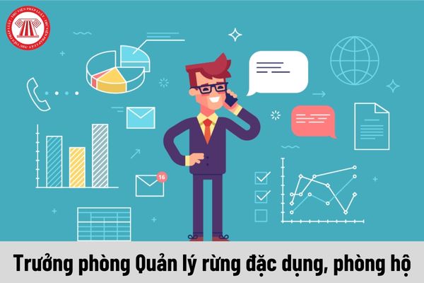 Trưởng phòng Quản lý rừng đặc dụng, phòng hộ được nhận mức phụ cấp chức vụ lãnh đạo là bao nhiêu?