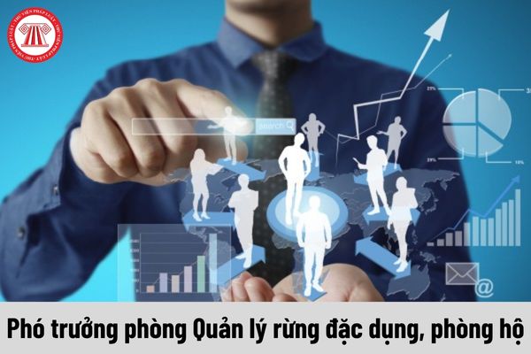 Mức phụ cấp chức vụ lãnh đạo của Phó trưởng phòng Quản lý rừng đặc dụng, phòng hộ được nhận là bao nhiêu?