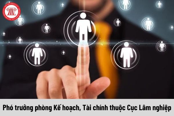 Phó trưởng phòng Kế hoạch, Tài chính thuộc Cục Lâm nghiệp được nhận mức phụ cấp chức vụ lãnh đạo là bao nhiêu?