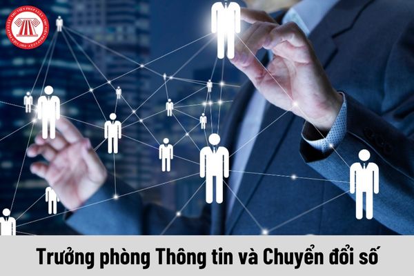 Trưởng phòng Thông tin và Chuyển đổi số được nhận mức phụ cấp chức vụ lãnh đạo là bao nhiêu?