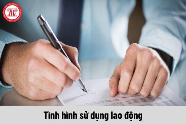 Những lưu ý khi điền mẫu báo cáo chuẩn về tình hình sử dụng lao động năm 2024 của Sở Hậu Giang?