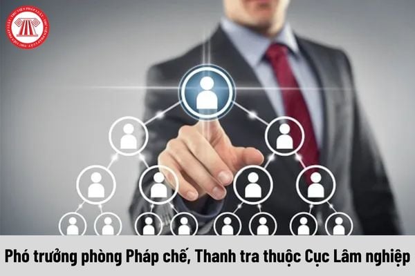 Phó trưởng phòng Pháp chế, Thanh tra thuộc Cục Lâm nghiệp được nhận mức phụ cấp chức vụ lãnh đạo là bao nhiêu?