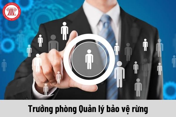 Trưởng phòng Quản lý bảo vệ rừng được nhận mức phụ cấp chức vụ lãnh đạo là bao nhiêu?