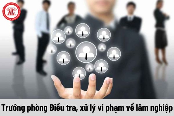 Trưởng phòng Điều tra, xử lý vi phạm về lâm nghiệp được nhận mức phụ cấp chức vụ lãnh đạo là bao nhiêu?