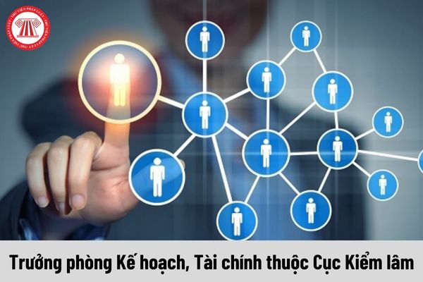 Mức phụ cấp chức vụ lãnh đạo của Trưởng phòng Kế hoạch, Tài chính thuộc Cục Kiểm lâm là bao nhiêu?