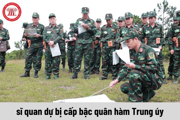 Sĩ quan dự bị cấp bậc quân hàm Trung úy sẽ có hạn tuổi phục vụ cao nhất là bao nhiêu tuổi?