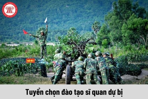 Đối tượng nào được tuyển chọn đào tạo sĩ quan dự bị?