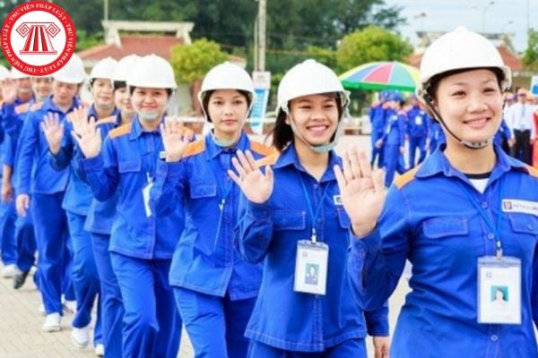 Lao Động Tiền Lương