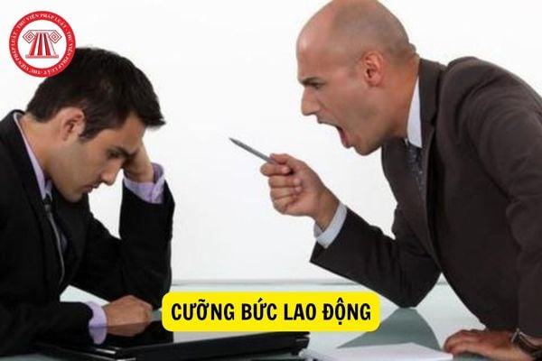 Người Sử Dụng Lao động Có Hành Vi Cưỡng Bức Lao động Bị Xử Phạt Như Thế Nào 9111