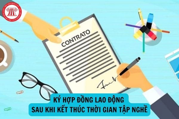 Sau khi kết thúc thời gian tập nghề, người sử dụng lao động có bắt buộc phải ký hợp đồng lao động hay không?