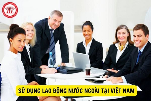 Báo cáo sai thời hạn tình hình sử dụng người lao động nước ngoài tại Việt Nam bị phạt như thế nào?