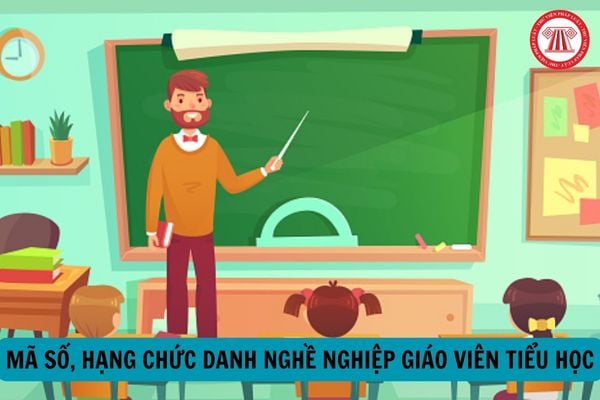 Thay đổi mã số, hạng chức danh nghề nghiệp giáo viên tiểu học theo quy định hiện nay?