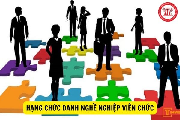 Bổ sung thêm hạng chức danh nghề nghiệp đối với viên chức?