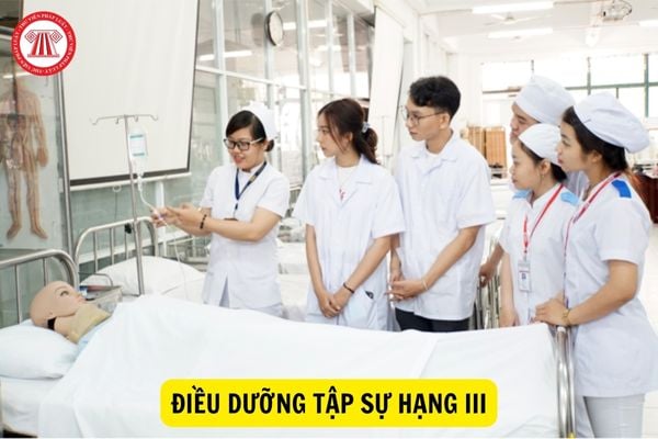 Điều dưỡng tập sự hạng III phải đáp ứng các tiêu chuẩn nào?