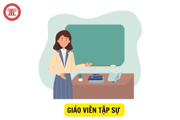 Giáo viên tập sự nghỉ hè có được hưởng lương hay không?