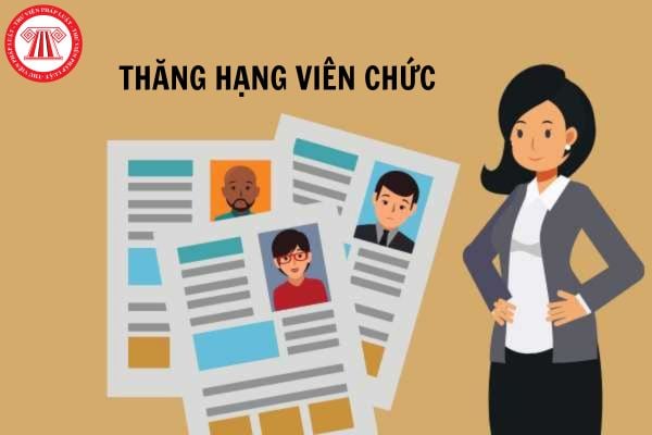 Xét thăng hạng đặc cách chức danh nghề nghiệp viên chức được thực hiện khi nào?