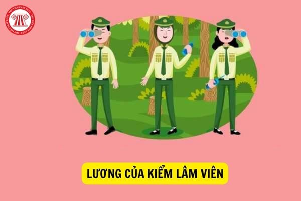 Lương của kiểm lâm viên năm 2023 có sự gia tăng đáng kể?