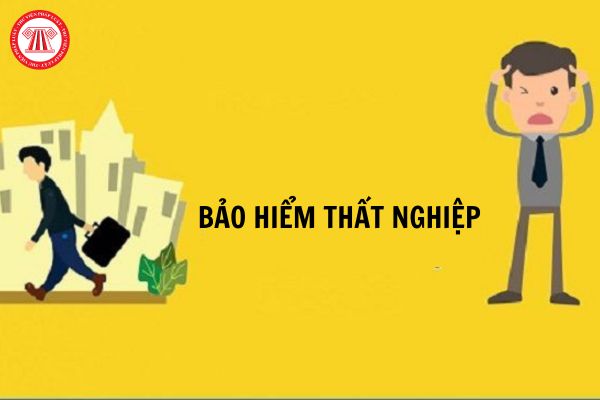 Ai có trách nhiệm đóng bảo hiểm thất nghiệp theo quy định hiện nay?