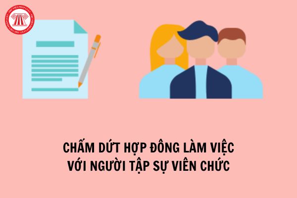 Người tập sự viên chức bị chấm dứt hợp đồng làm việc có được nhận hỗ trợ gì không?