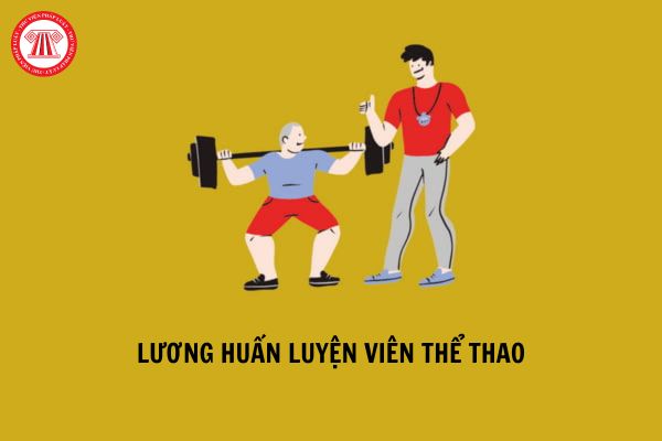 Lương của huấn luyện viên thể thao hiện nay là bao nhiêu?