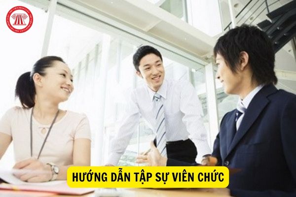 Người hướng dẫn tập sự viên chức được hưởng phụ cấp bao nhiêu?