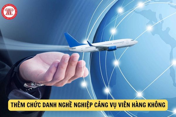 Thêm chức danh nghề nghiệp cảng vụ viên hàng không?