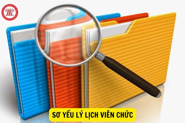 Sơ yếu lý lịch viên chức?