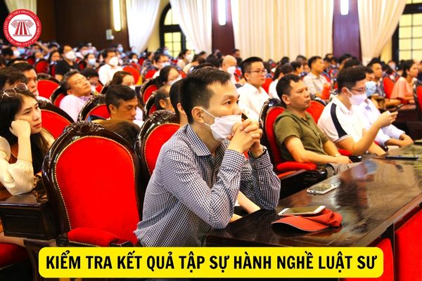 Ai được tham dự kiểm tra kết quả tập sự hành nghề luật sư?