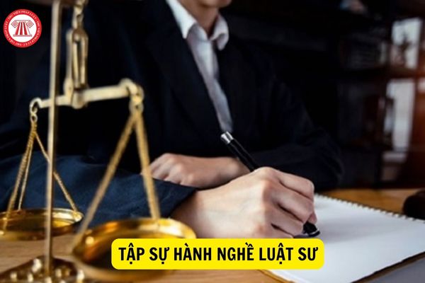 Người nước ngoài có được đăng ký tập sự hành nghề luật sư tại Việt Nam không?