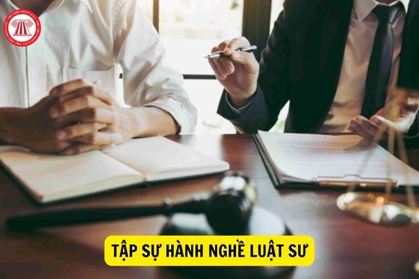 Có công nhận thời gian tập sự hành nghề luật sư đối với người đã hoàn thành tập sự mà bị phát hiện không đáp ứng điều kiện đăng ký tập sự?