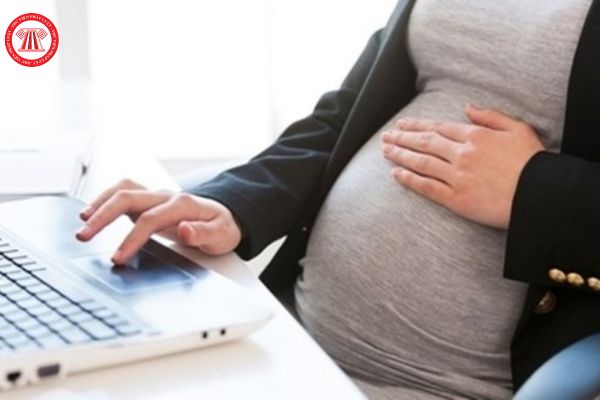 Công chứng viên nữ đang mang thai có phải tham gia tham gia bồi dưỡng nghiệp vụ trong năm hay không?